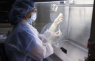 Vaccini, V-day entro Capodanno e campagna al via all’Epifania. “Ma non ci sono dosi per tutti”