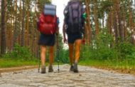 365 volte Europa. Immersi nel profumo dei pini