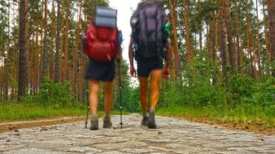 365 volte Europa. Immersi nel profumo dei pini