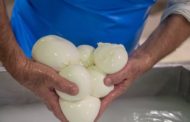 La Mozzarella di Bufala e la tecnologia: una nuova (e felice) storia d'amore