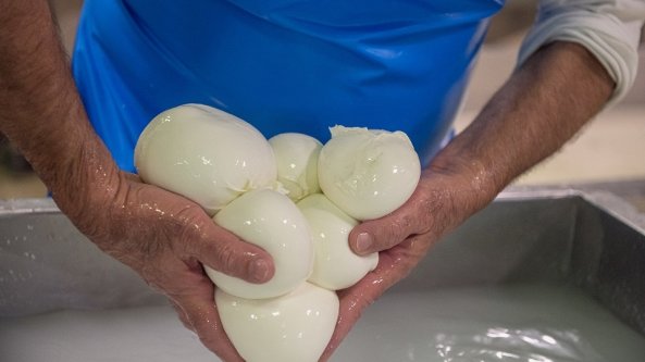 La Mozzarella di Bufala e la tecnologia: una nuova (e felice) storia d'amore
