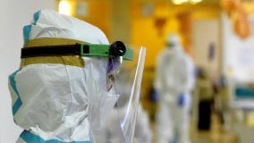 Coronavirus nel mondo,  in Francia primo caso della variante inglese. In Brasile superate 190mila vittime