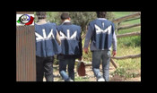 Dia confisca beni per 10 milioni a esponente emiliano della 'ndrangheta