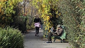 Tutti stanchi di code e disagi, boom dei quartieri 