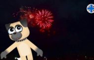 Capodanno con i botti, i consigli dell'Enpa per proteggere gli animali