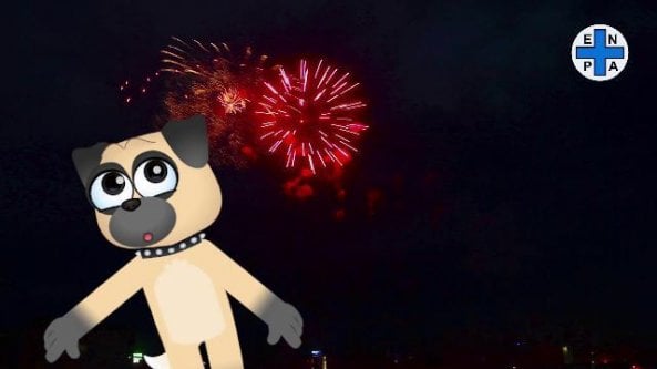 Capodanno con i botti, i consigli dell'Enpa per proteggere gli animali