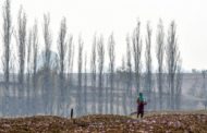 2020, i video di Green&Blue: la natura, il clima e le idee per un futuro sostenibile