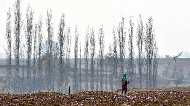 2020, i video di Green&Blue: la natura, il clima e le idee per un futuro sostenibile