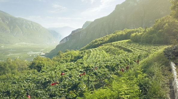 Ferrari, dalle bollicine di montagna ai rossi in Umbria il racconto di uno stile