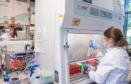 Gran Bretagna, via libera al vaccino di Oxford e AstraZeneca. Ieri la frenata da parte dell'Ema