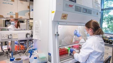Gran Bretagna, via libera al vaccino di Oxford e AstraZeneca. Ieri la frenata da parte dell'Ema