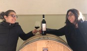 A Novara assessore e restauratrice sono diventate viticultrici