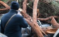 Maltempo, vento e pioggia sulla capitale: crollato grosso albero all'Appia Nuova. Finiscono in strada cabine a Ostia