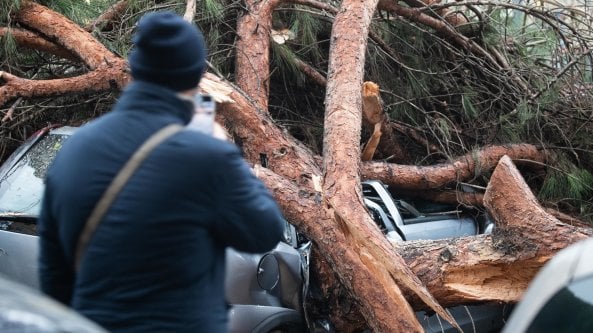 Maltempo, vento e pioggia sulla capitale: crollato grosso albero all'Appia Nuova. Finiscono in strada cabine a Ostia