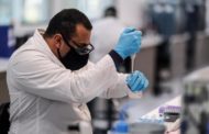 Gli scienziati concordi: 