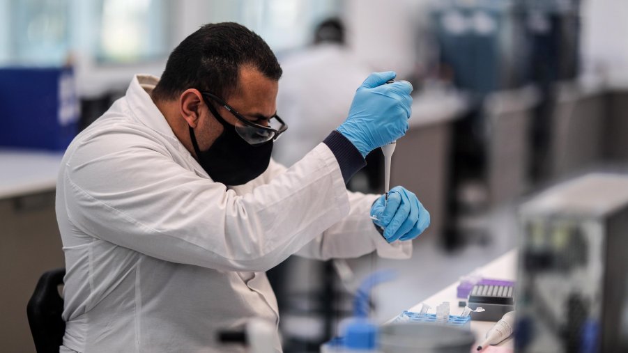Gli scienziati concordi: 