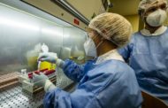 Coronavirus, un caso della variante inglese a Loreto senza contatti con la Gran Bretagna