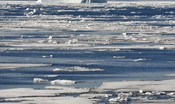 Il riscaldamento dell'Artico potrebbe dipendere dai terremoti?