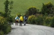 Di qui passò Francesco, sulle orme del Poverello di Assisi