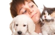 Cani e gatti domestici non trasmettono il Coronavirus  ma possono essere contagiati dai padroni