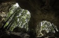 Visite guidate, voucher o archeotrekking, Idee regalo di viaggio per Natale