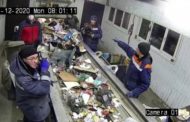 Nella busta c'è un gattino: l'operaio del centro rifiuti lo salva all'ultimo istante
