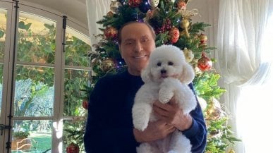 L'albero di Mattarella, il presepe di Meloni: ecco gli auguri di Natale di politici e istituzioni