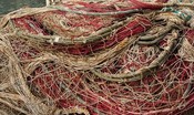  Brexit: la pesca, l'ultimo e faticoso miglio del negoziato