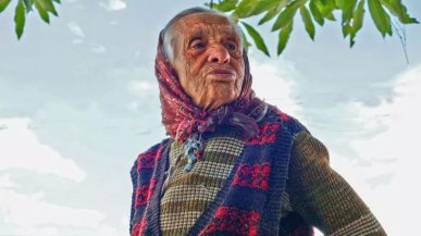 365 volte Europa. Gli aironi rossi che annunciano il Danubio