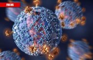 Il virus è mutato anche in Italia. Ecco le sue varianti