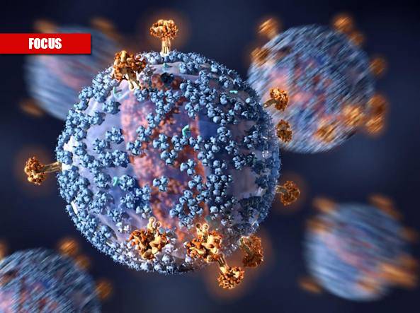 Il virus è mutato anche in Italia. Ecco le sue varianti