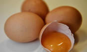 L'allergia all'uovo si guarisce anche con i biscotti. Uno studio