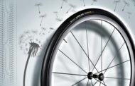 Gomme per biciclette a base di Tarassaco, ecco la formula vincente
