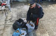 Botti illegali: esplode petardo, 16enne perde un dito nel Barese