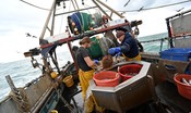 Brexit: avviso a pescatori bretoni, 