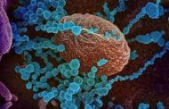 Un virus più contagioso alla base della seconda ondata. E ora la variante inglese può mettere a rischio anche i vaccini