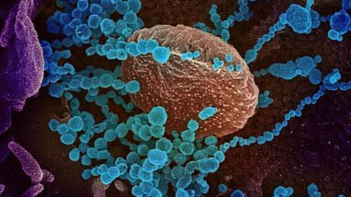 Un virus più contagioso alla base della seconda ondata. E ora la variante inglese può mettere a rischio anche i vaccini