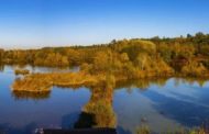 La scuola nel parco virtuale. Laboratori scientifici al via nel Parco fluviale Gesso e Stura di Cuneo