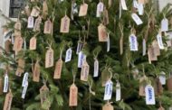 L'albero di Natale più tenero: i nomi dei 370 bambini nati quest'anno a Gallarate al posto delle palline