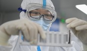 Wuhan un anno dopo, missione Oms dove iniziò la pandemia