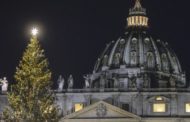 Piazza San Pietro si illumina: l'accensione dell'albero arrivato dalla Slovenia