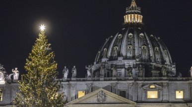 Piazza San Pietro si illumina: l'accensione dell'albero arrivato dalla Slovenia