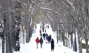 Tempesta di neve a New York