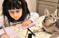 Il ritorno dell’amico di penna tra i bambini cresciuti sui social
