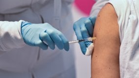 Vaccino, il corpo riconosce il virus e reagisce: ecco perché la seconda dose dà più fastidio