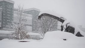 Maxi nevicata in Giappone: 1.200 veicoli bloccati in autostrada