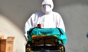 In Germania 1.244 morti per Covid in 24 ore, mai così tanti