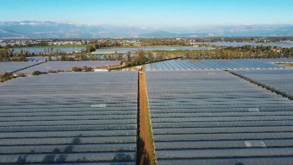 Gli operatori che liberano dalla schiavitù i braccianti agricoli