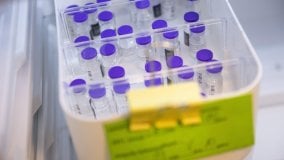 Causa a Pfizer, i pro e i contro di un'azione legale: 