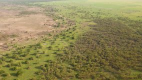 La grande muraglia verde dell'Africa avanza al rallentatore